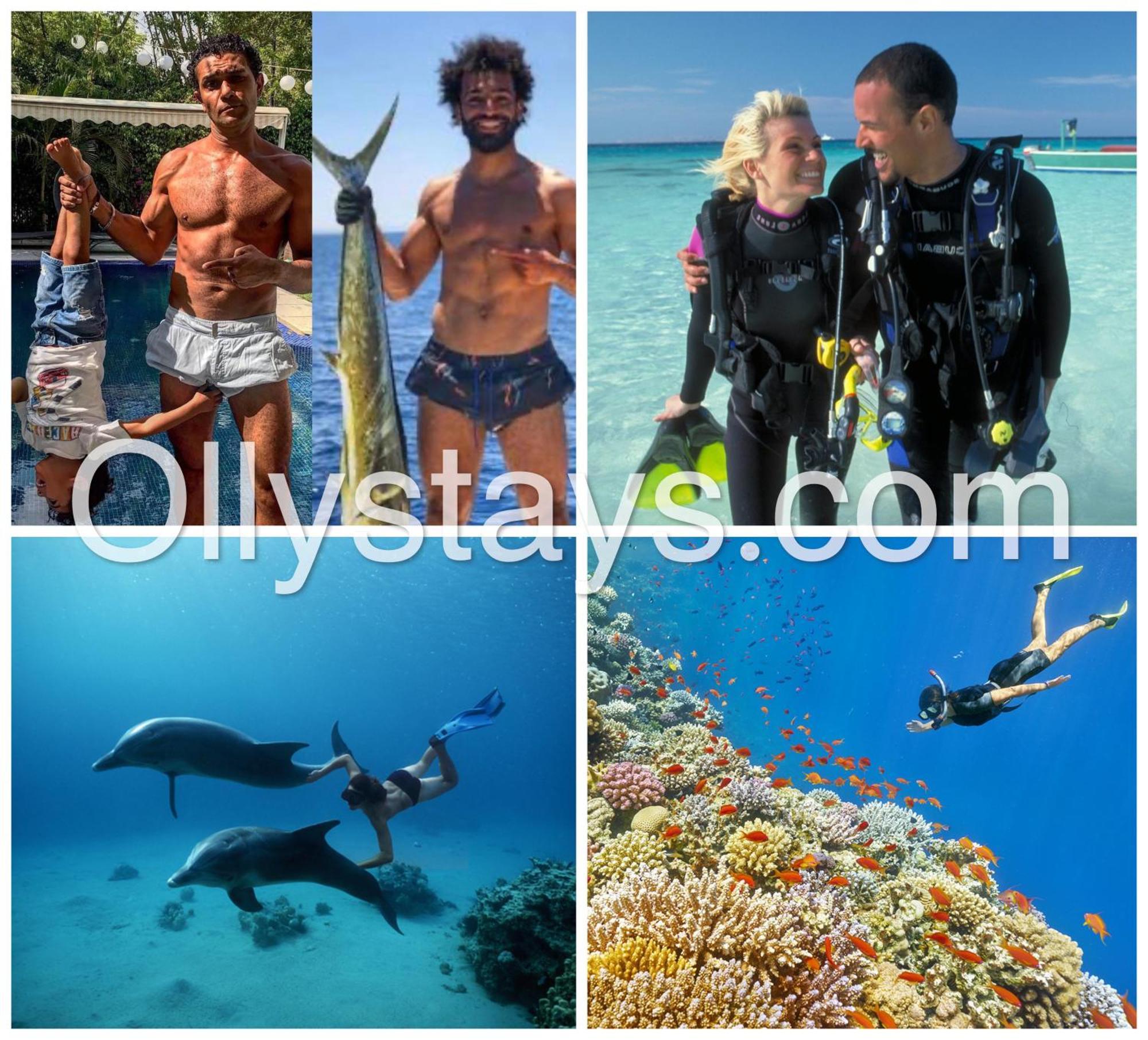 Ollystays Mangroovy 1 Bedroom Beach And Pool Free Access Hurghada Exterior foto